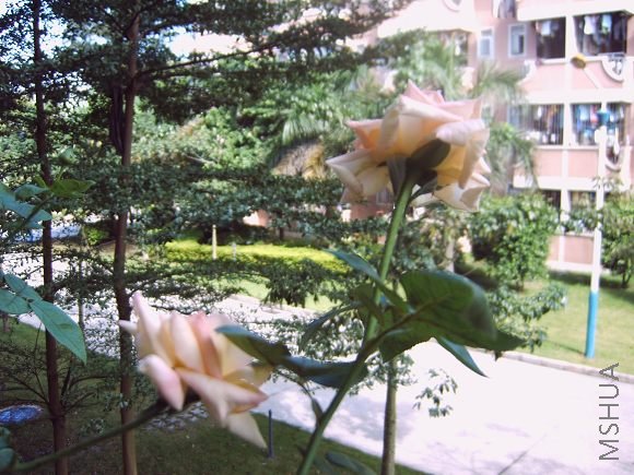 IMG02213.JPG