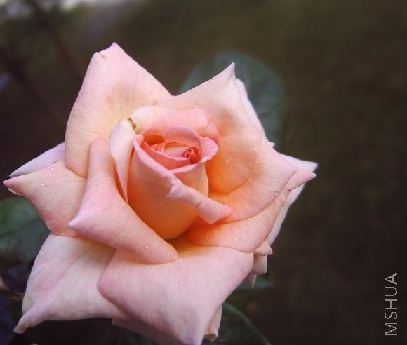 IMG02216.JPG