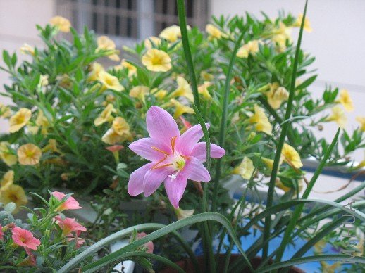 BigBull_��Ƭ 002.jpg