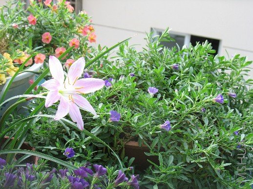 BigBull_��Ƭ 005.jpg