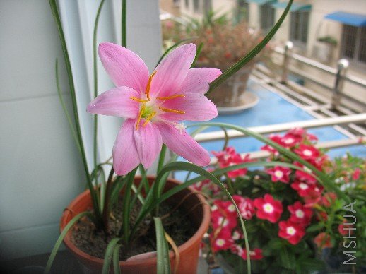 BigBull_��Ƭ 001.jpg