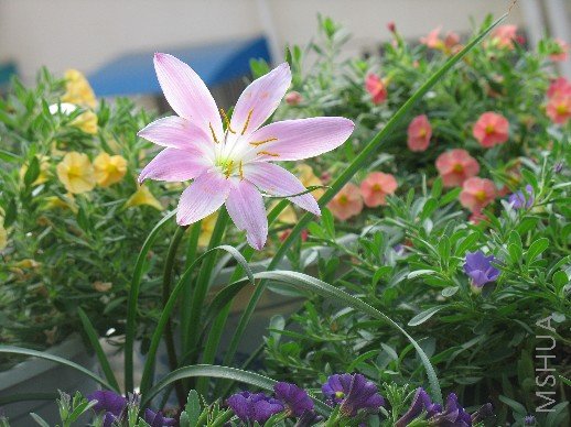 BigBull_��Ƭ 007.jpg