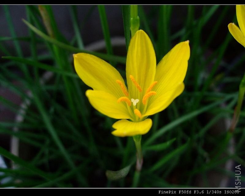 DSCF54180.jpg