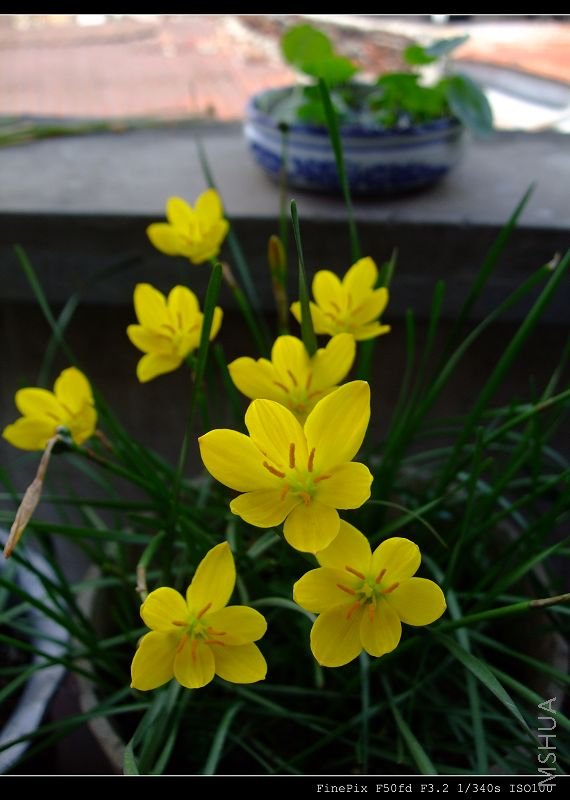 DSCF54290.jpg