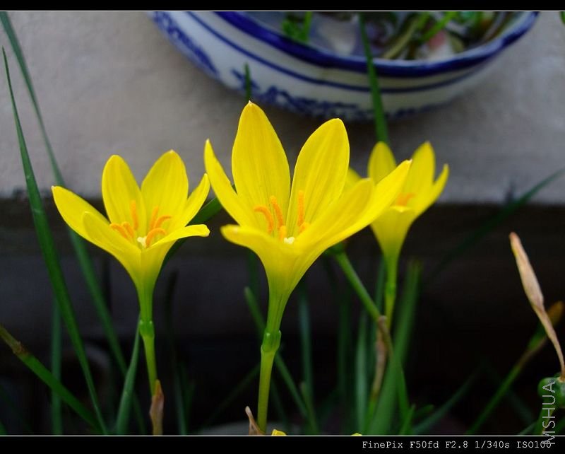 DSCF54210.jpg