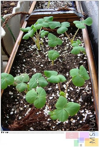 ܽ����������һ�裬ָ�տɴ���