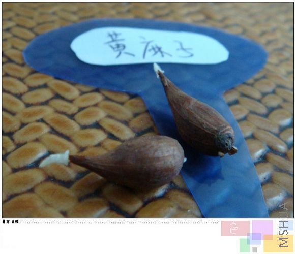 �����ӷ�ѿ����һ�ܶ��ˣ�һֱû���£�����������ȥ¥����������