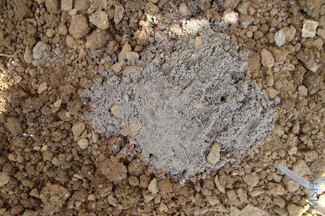 ������С DSC00221.JPG