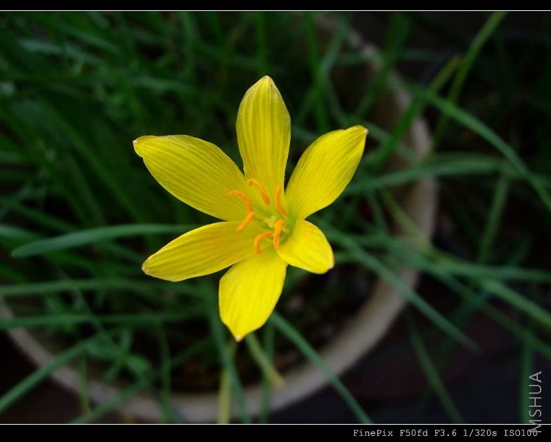 DSCF53820.jpg