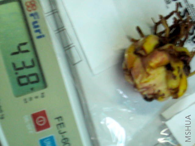 2 43.8G.JPG