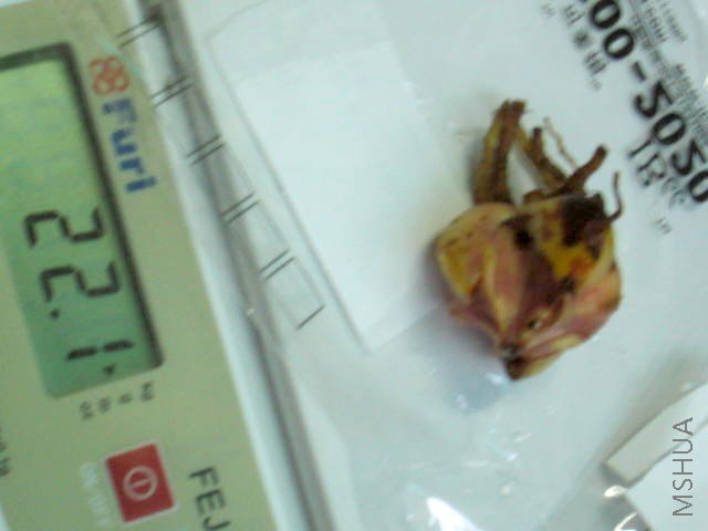 3 22.1G.JPG