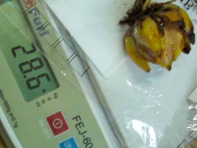 4 28.6G.JPG
