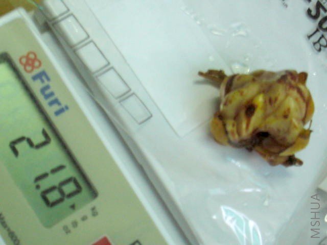5 21.8G.JPG