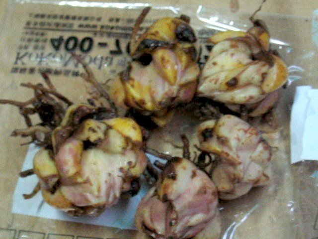 100_0071.JPG