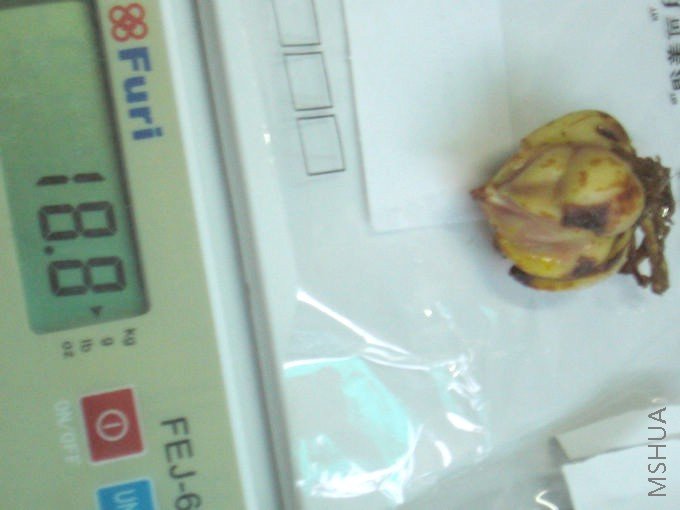 1 18.8G.jpg