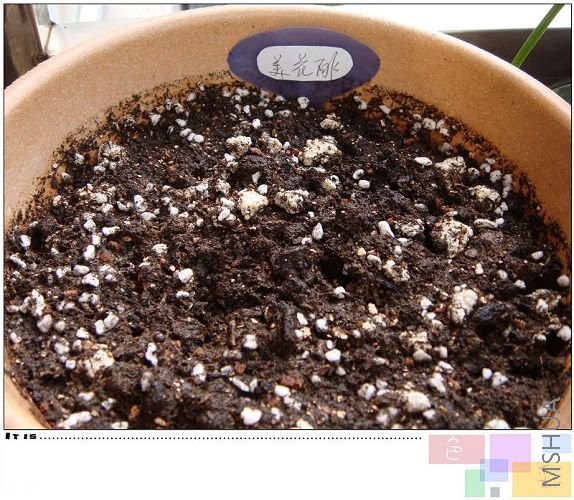 �������������ʮһ�����ֵģ�û��ס��������