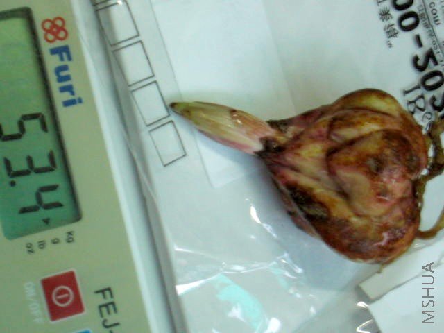 100_0060.JPG