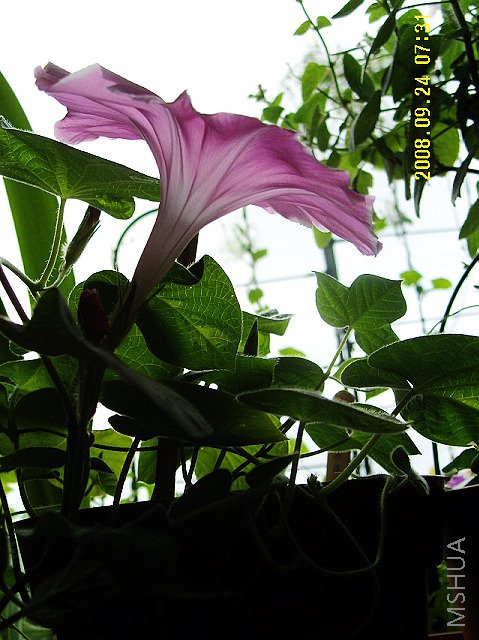 ����·���ʽ�����Ĵ�����