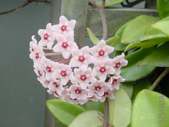 DSC00088_s.jpg
