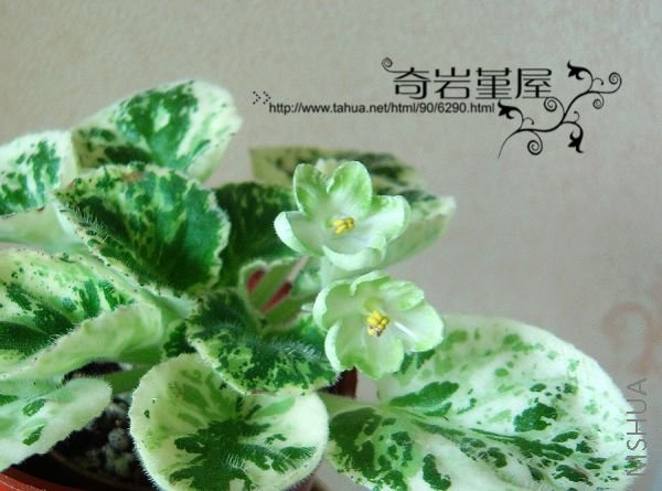 L-10-Frozen in Time.JPG