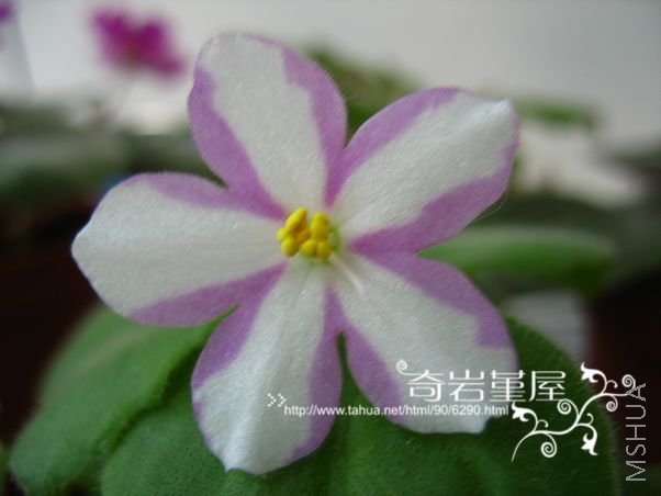 G-5-Sunray Trail.JPG