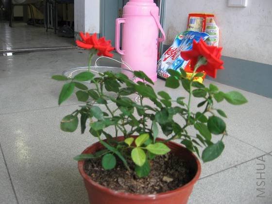 0608΢���¼� (1).jpg