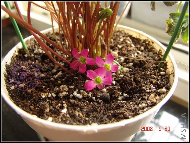 ë��������