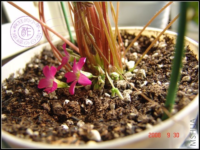 ë��������