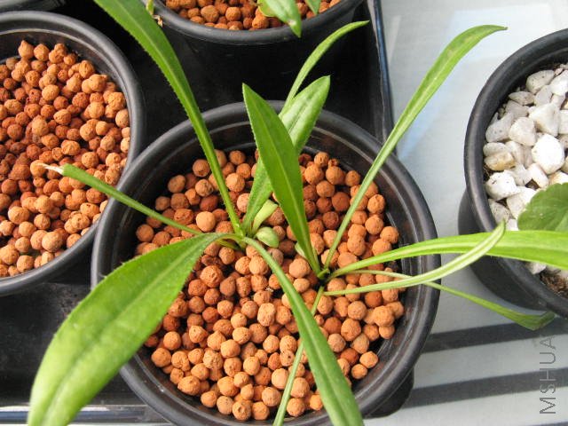 ��һ��...�����ӻҴ���һ�ż����˻�����