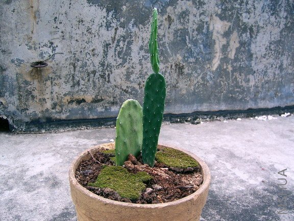 ��Ƭ 001(576).jpg