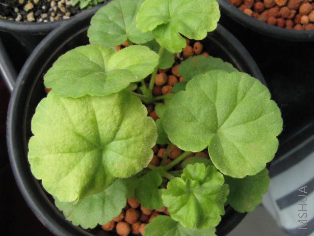 ���ÿ������󽡿�