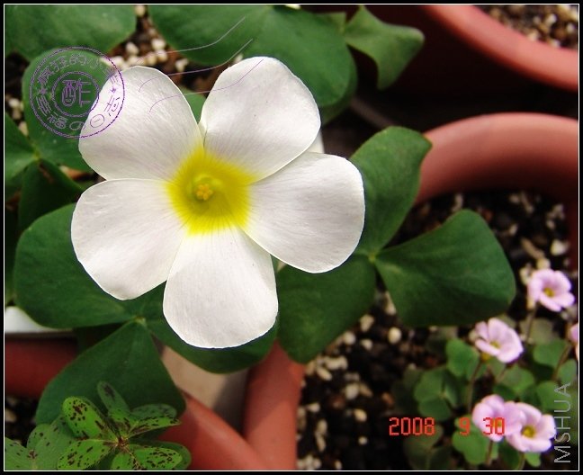 ������,ܽ�ظ�������...