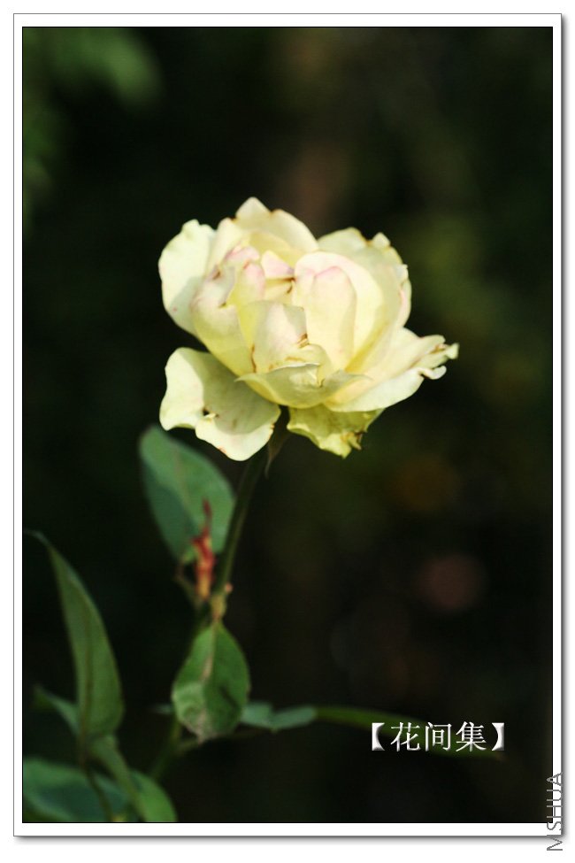 IMG_5084 ����.jpg