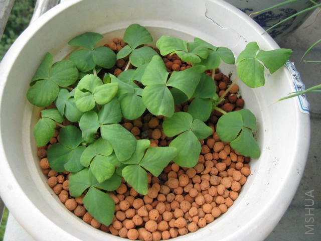 ��һ��ܽ����