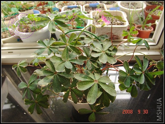 ë��������