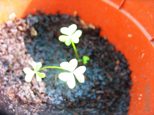 BigBull_��Ƭ 004.jpg