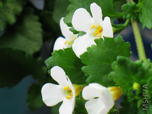 BigBull_��Ƭ 033.jpg