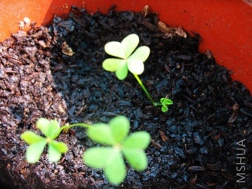 BigBull_��Ƭ 003.jpg