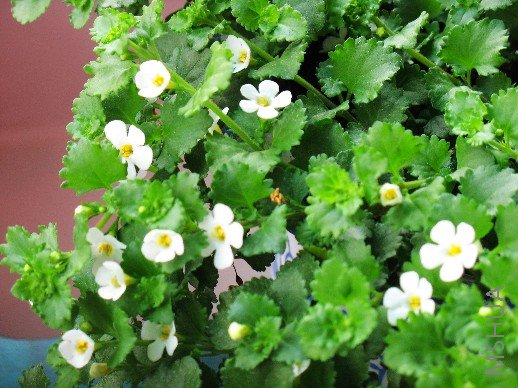 BigBull_��Ƭ 031.jpg