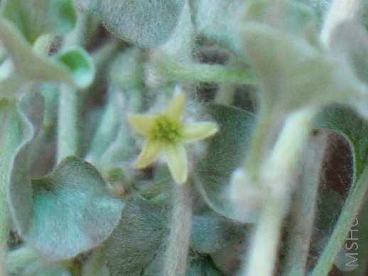 BigBull_��Ƭ 040.jpg