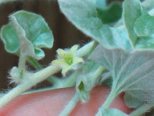 BigBull_��Ƭ 042.jpg