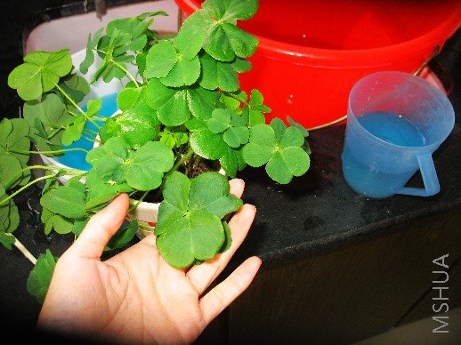 BigBull_��Ƭ 030.jpg