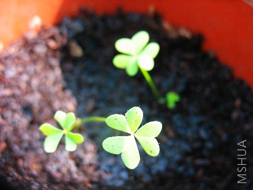 BigBull_��Ƭ 002.jpg