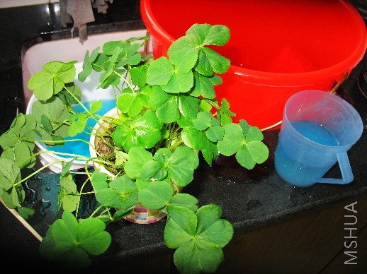 BigBull_��Ƭ 029.jpg