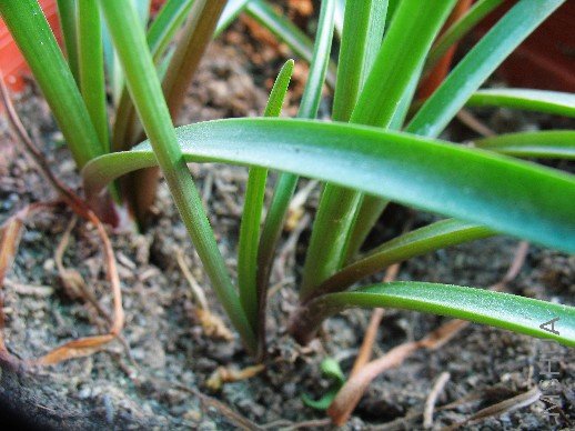 BigBull_��Ƭ 009.jpg