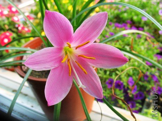 BigBull_��Ƭ 008.jpg