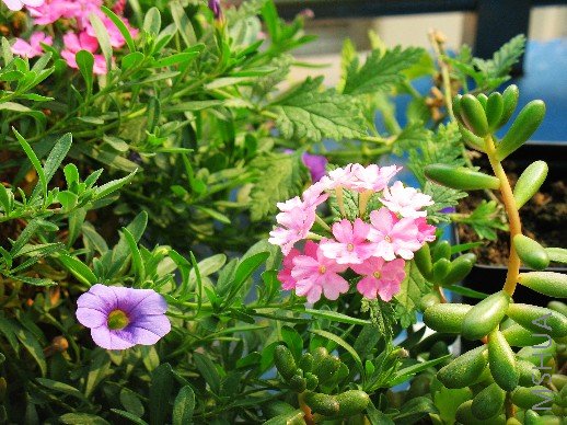 BigBull_��Ƭ 010.jpg