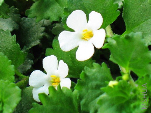 BigBull_��Ƭ 032.jpg