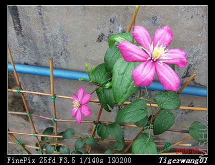 ��ֲ̨�� 004.jpg