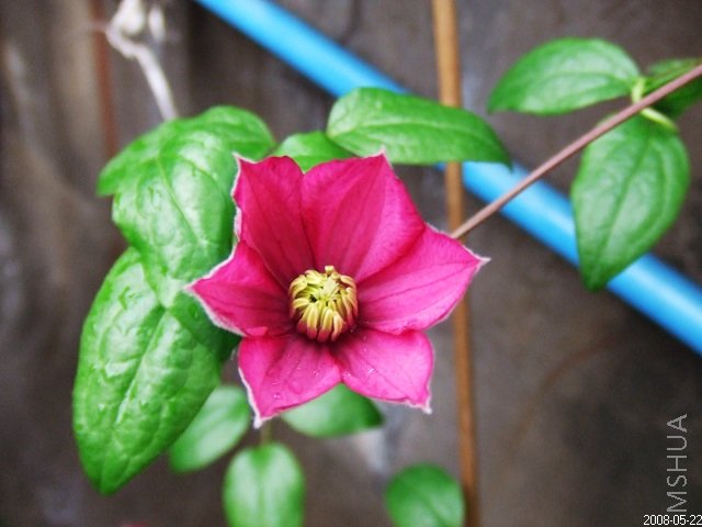 ��ֲ̨�� 007.jpg